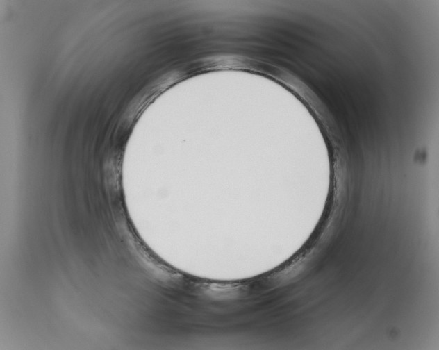 X0000111490857200908251024