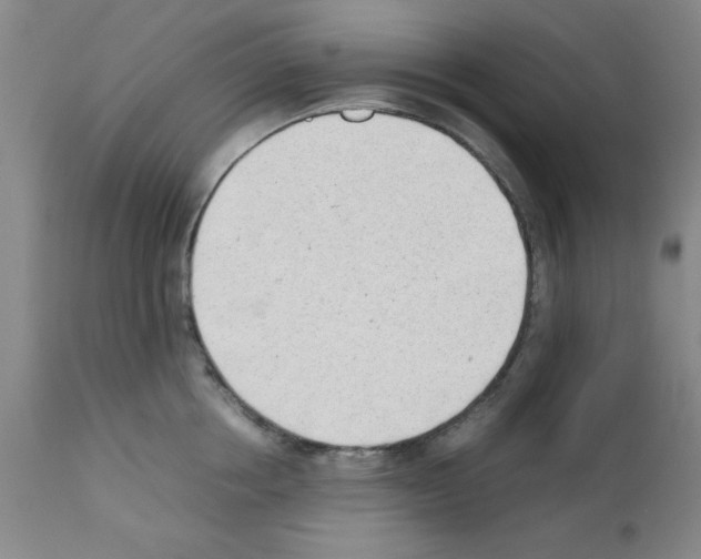 X0000111490858200908251024