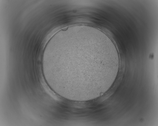 X0000111490859200908251024