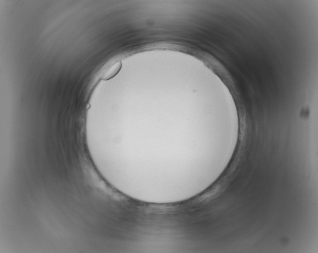 X0000111490860200908251024