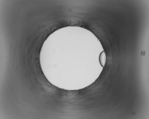 X0000111490865200908251024