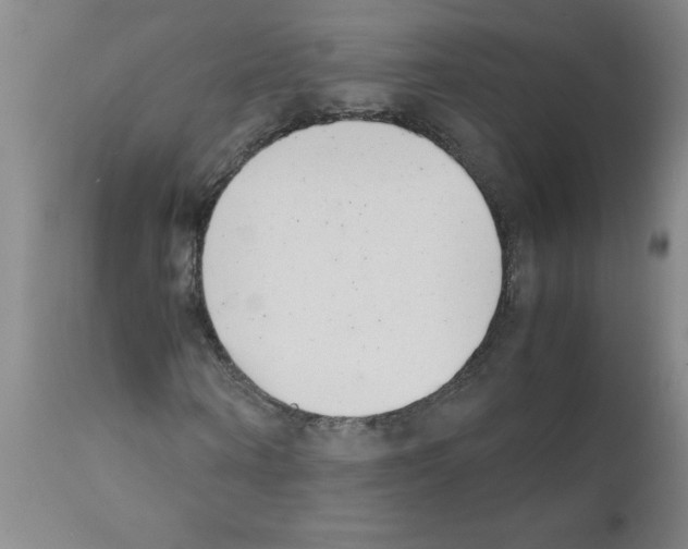 X0000111490866200908251024