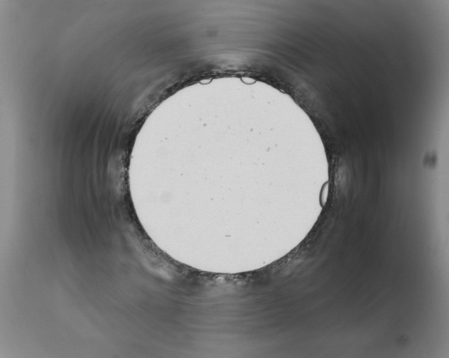 X0000111490868200908251024