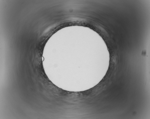 X0000111490869200908251024