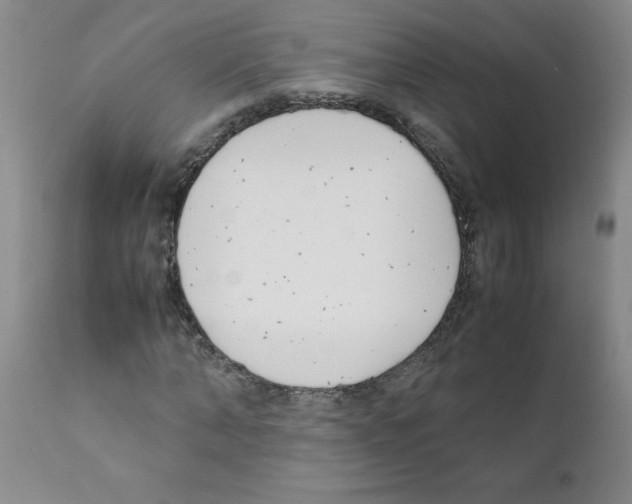 X0000111490870200908251023