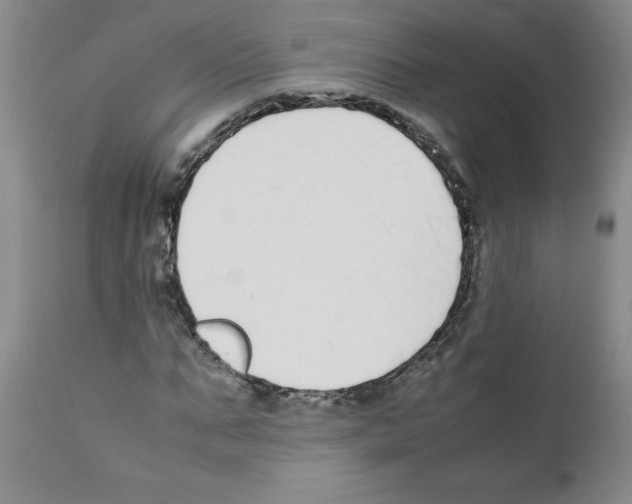 X0000111490871200908251023