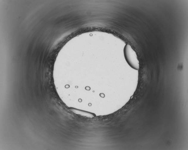 X0000111490872200908251023