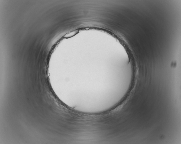 X0000111490877200908251023