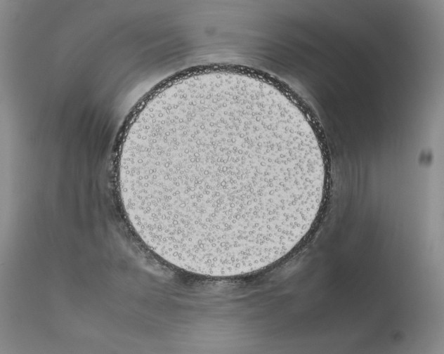 X0000111490879200908251023