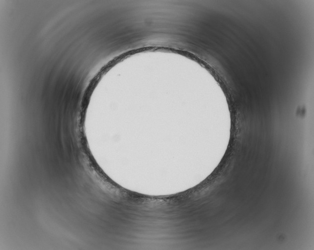 X0000111490880200908251023