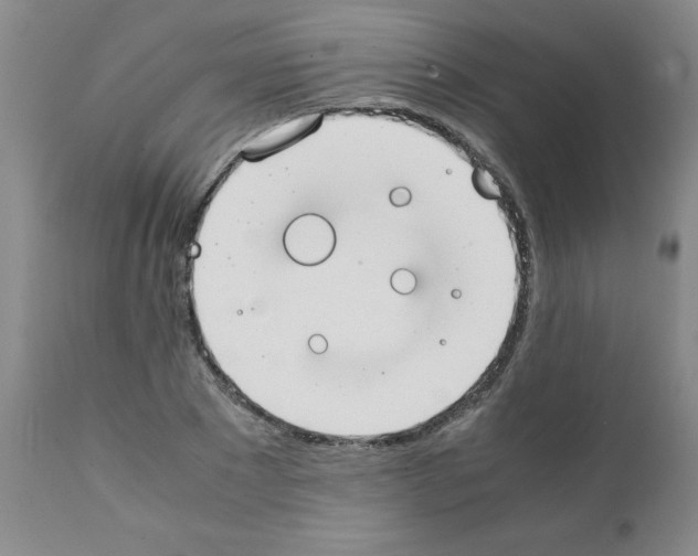 X0000111490881200908251023