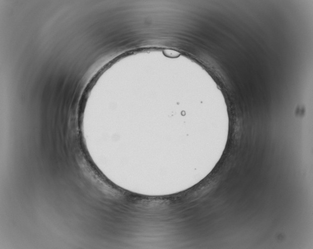 X0000111490884200908251023