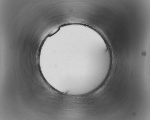 X0000111490885200908251023
