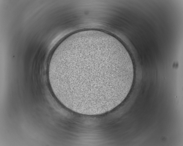 X0000111490886200908251023