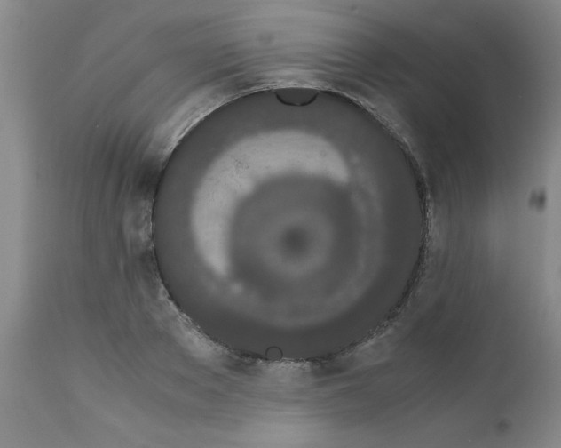 X0000111490889200908251023