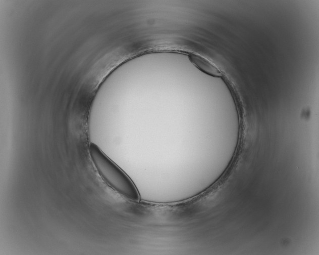 X0000111490897200908251023