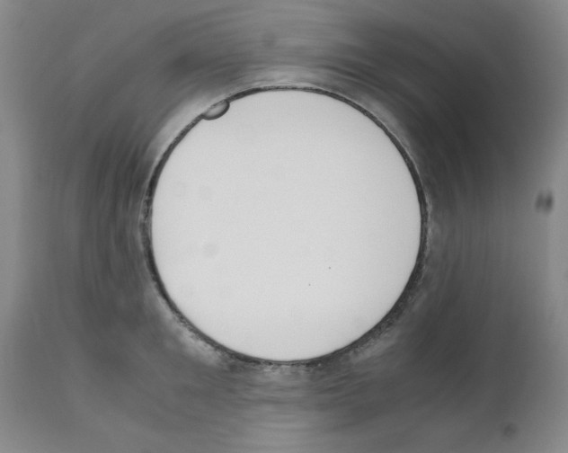 X0000111490901200908251023