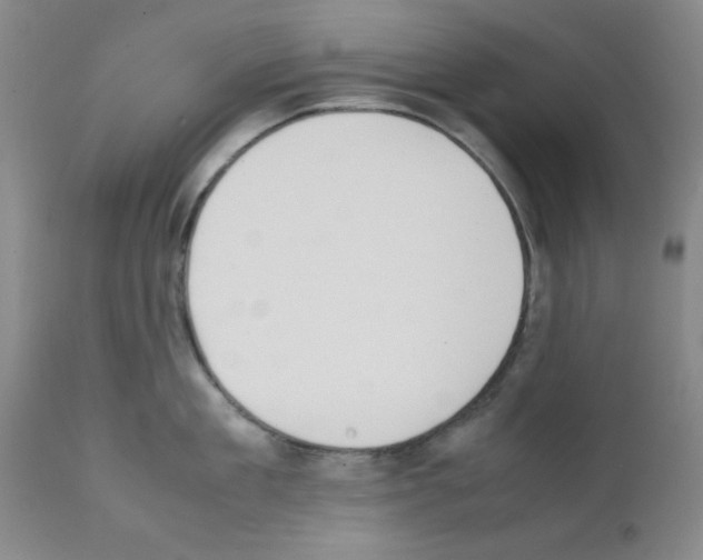 X0000111490909200908251023