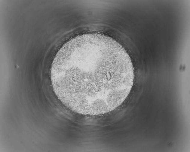 X0000111490913200908251022