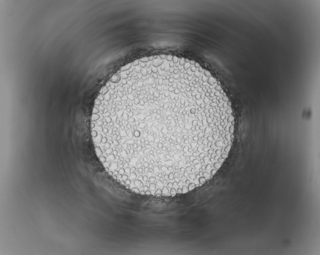 X0000111490917200908251022