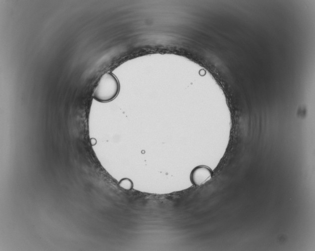 X0000111490918200908251022