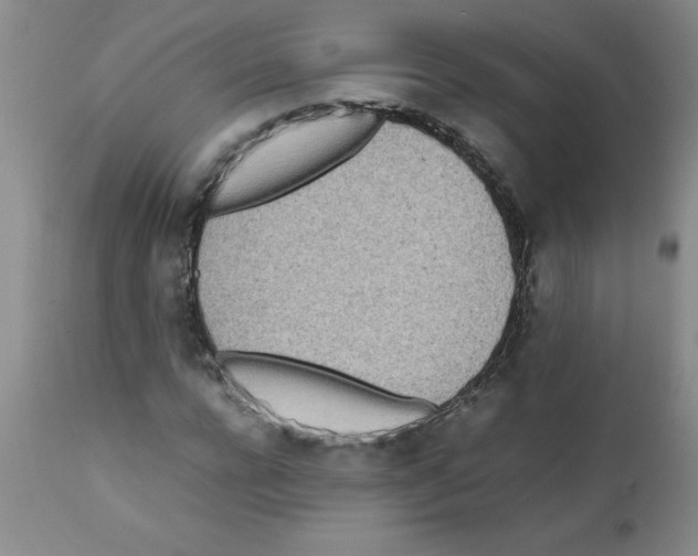 X0000111490920200908251022