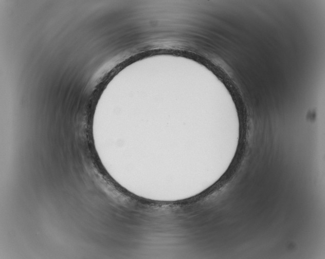 X0000111490922200908251022
