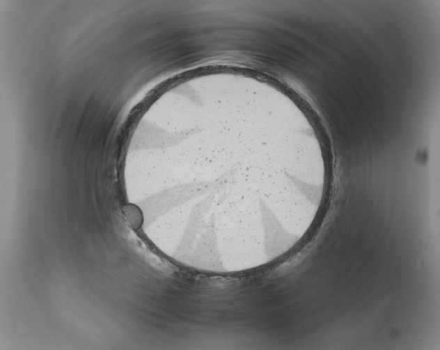 X0000111490923200908251022