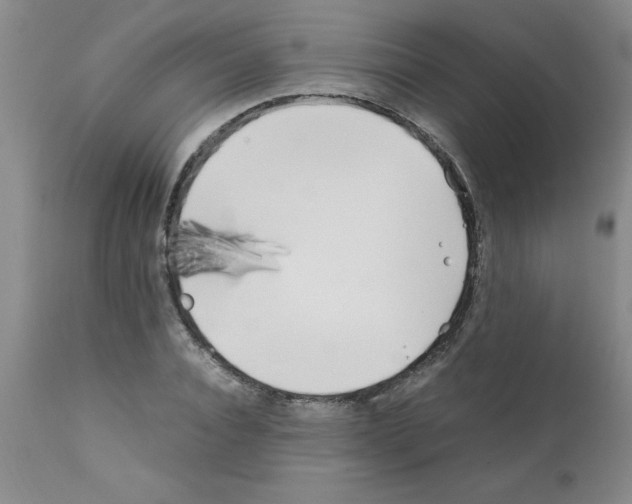 X0000111490928200908251022