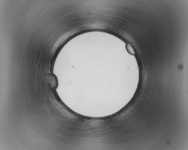 X0000111490930200908251022