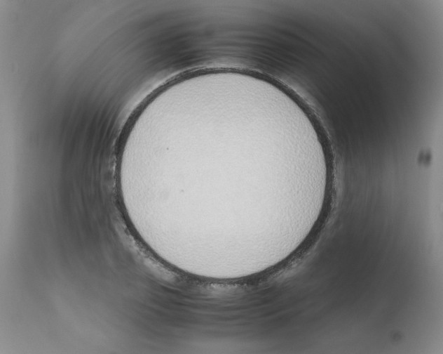 X0000111490933200908251023