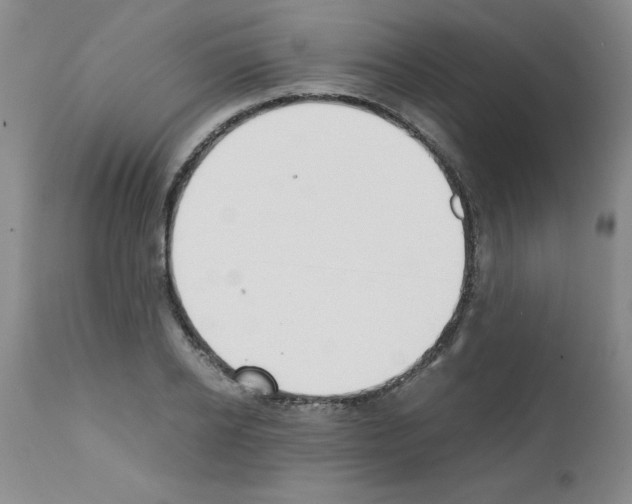 X0000111490934200908251023