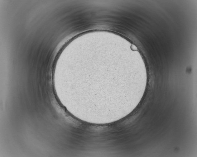 X0000111490939200908251023