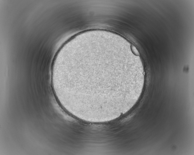 X0000111490940200908251023