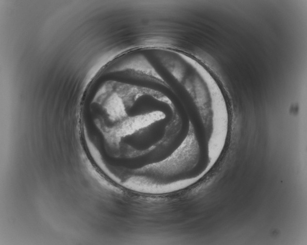 X0000111490941200908251023