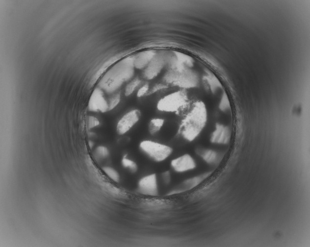 X0000111490945200908251023