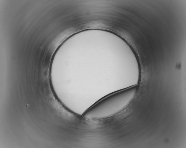 X0000111490946200908251023