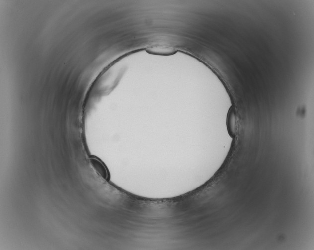 X0000111490948200908251023