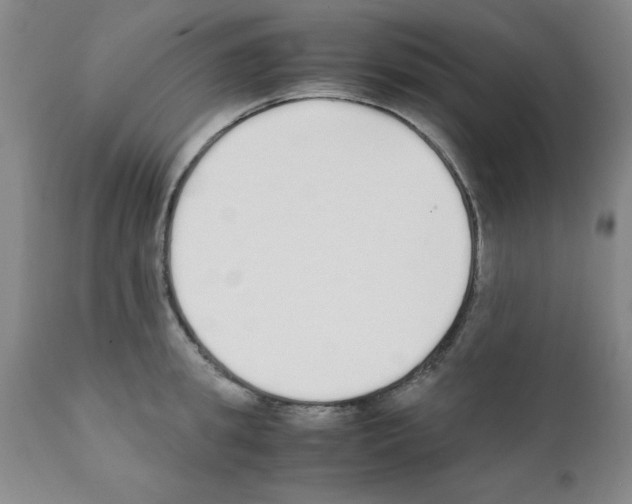 X0000111490949200908251023