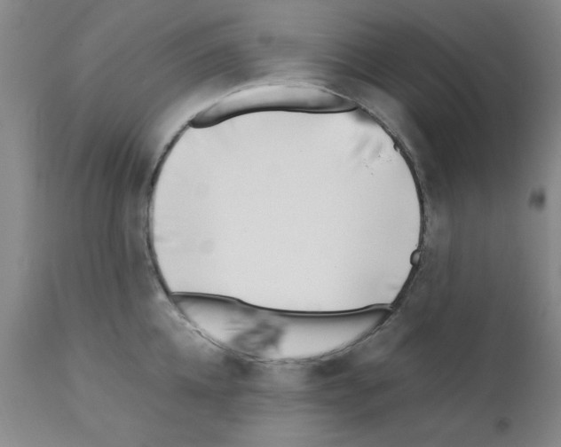X0000111490952200908251023