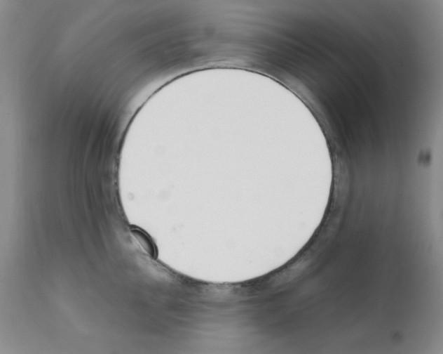 X0000111490956200908251023