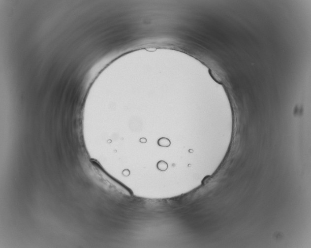 X0000111490960200908251023