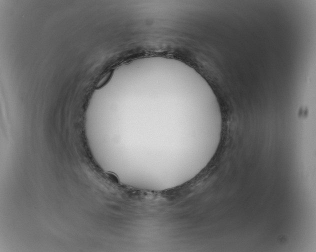X0000111490961200908251022