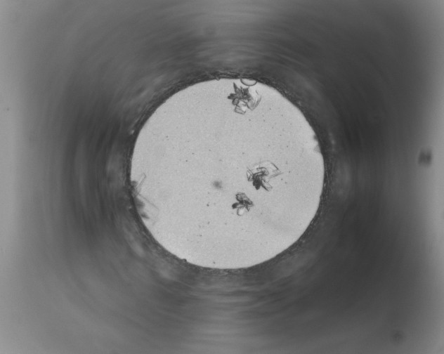 X0000111490962200908251022