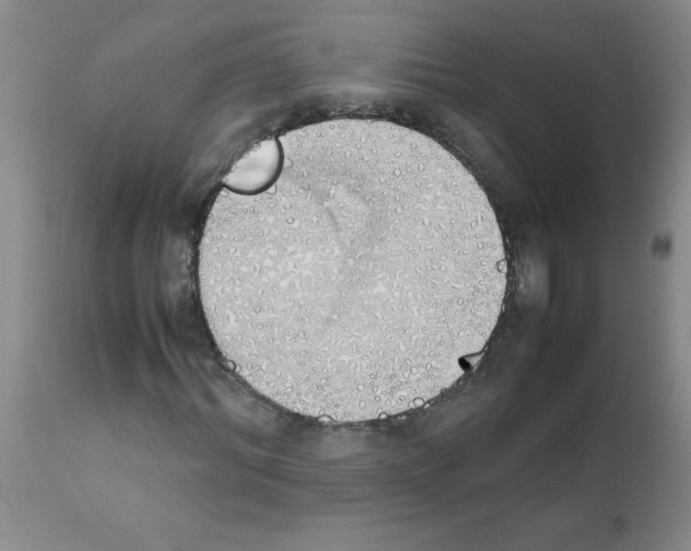 X0000111490964200908251022