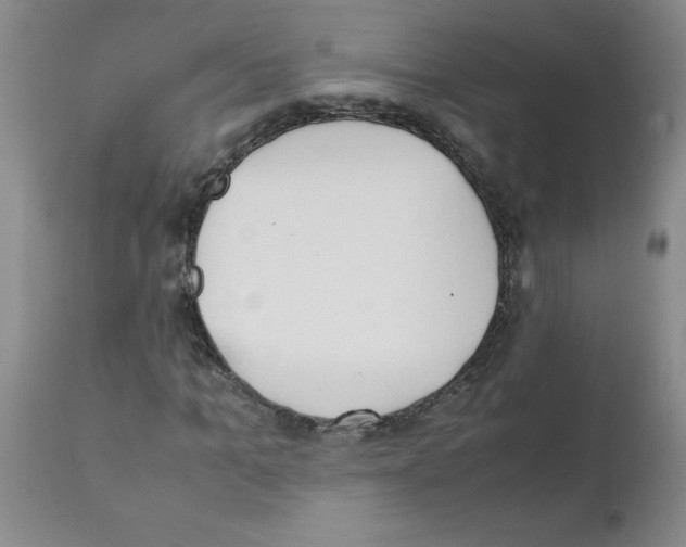 X0000111490965200908251022