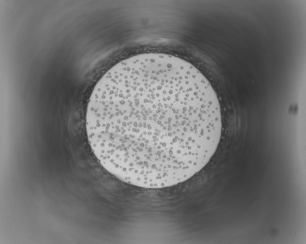 X0000111490966200908251022