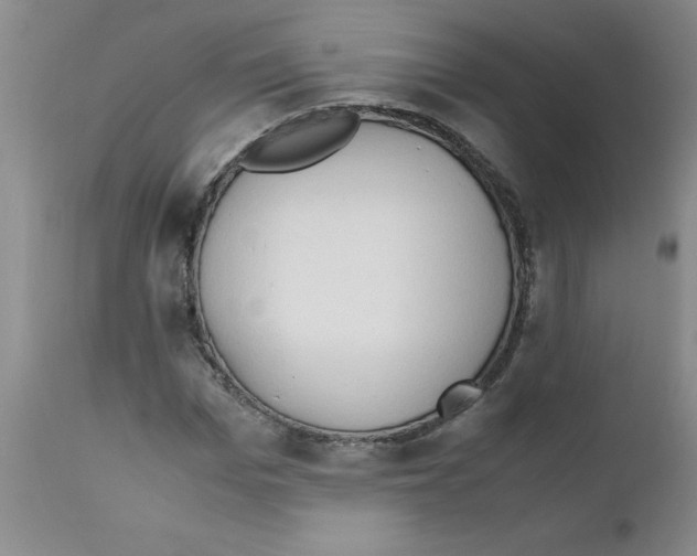X0000111490969200908251022