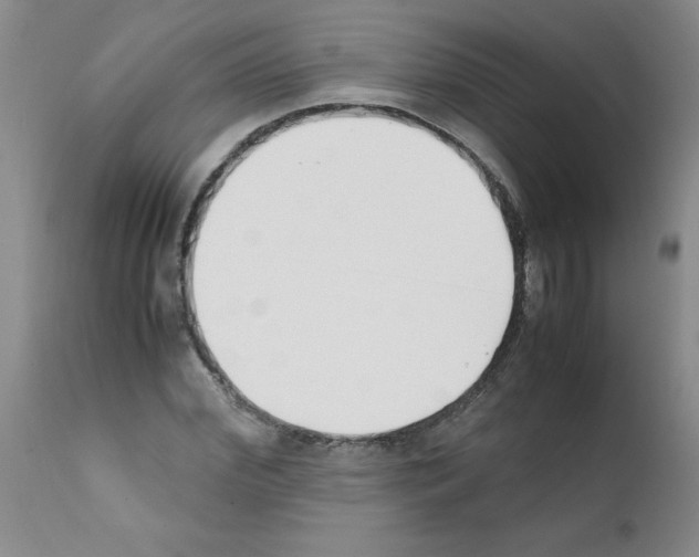 X0000111490972200908251022