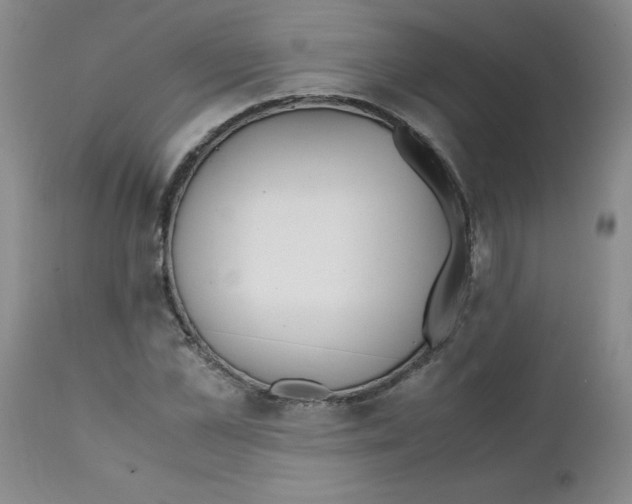 X0000111490973200908251022